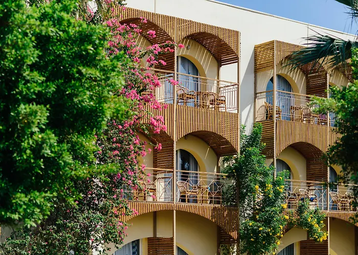 Desert Rose Resort