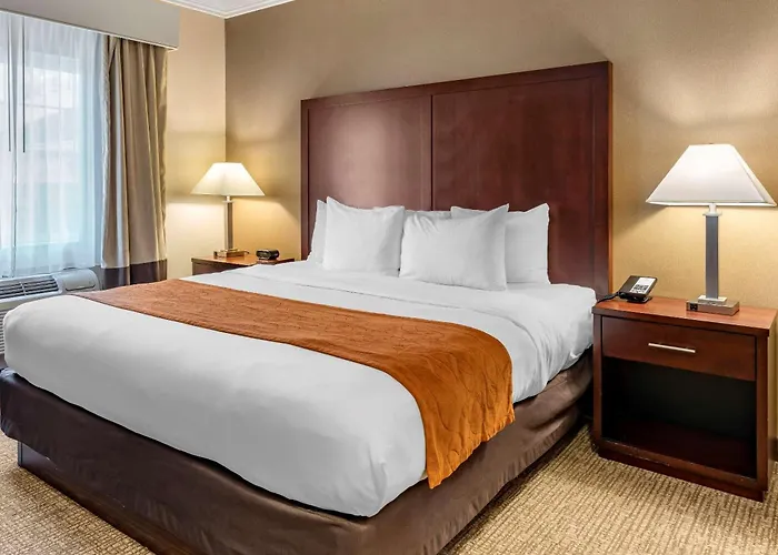 Comfort Suites Linn County Fairground And Expo