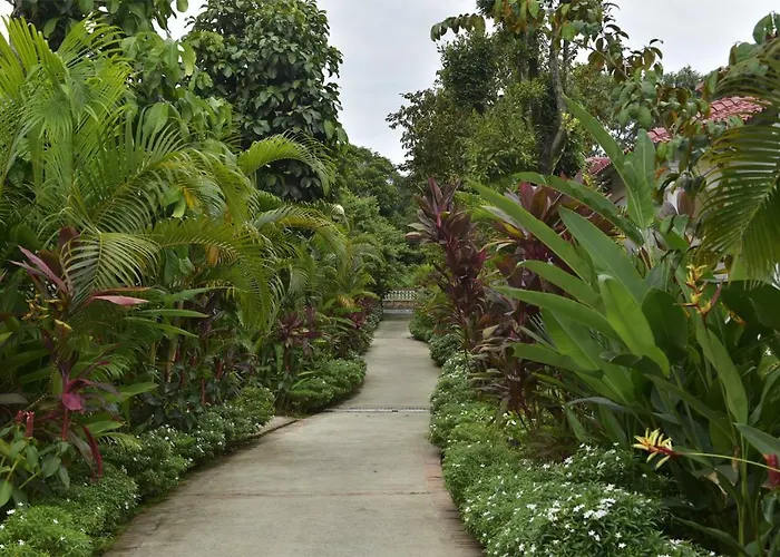 Rainforest Resort Phu Quoc