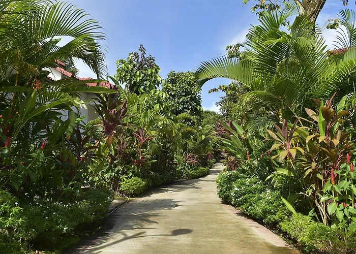 Rainforest Resort Phu Quoc