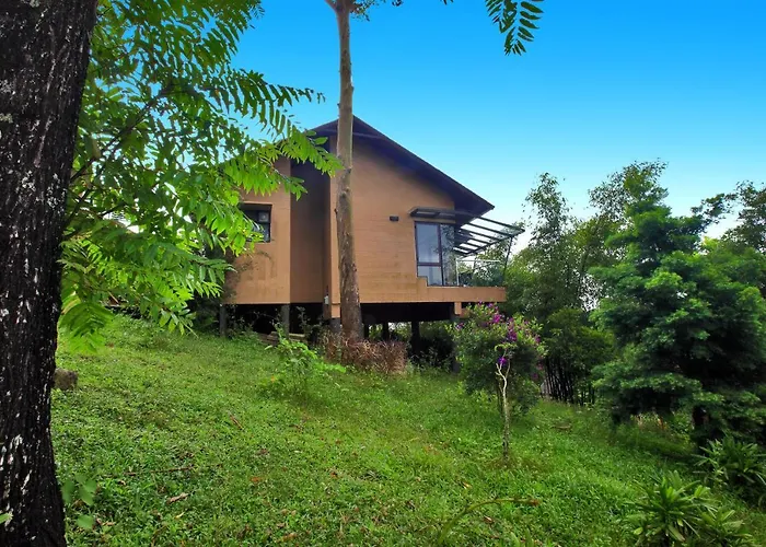 Tea Terrain Resorts & Spa