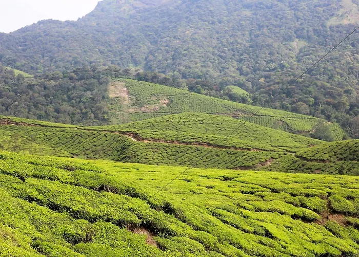 Green Garden Ayurvedic Resort & Green House