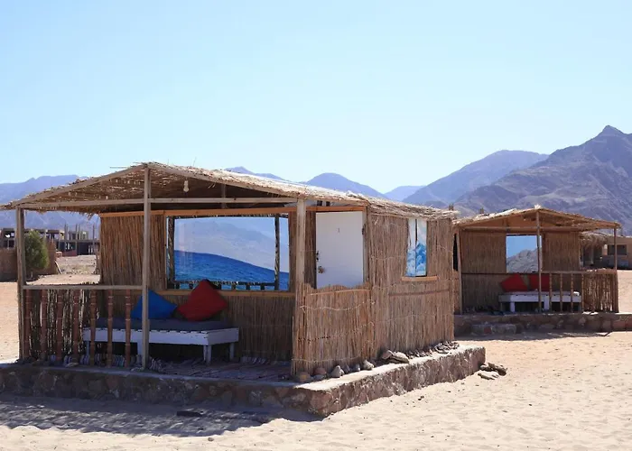 New Droub Camp