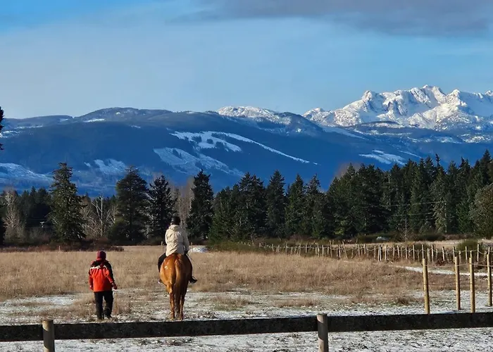Paradise Acres Ranch