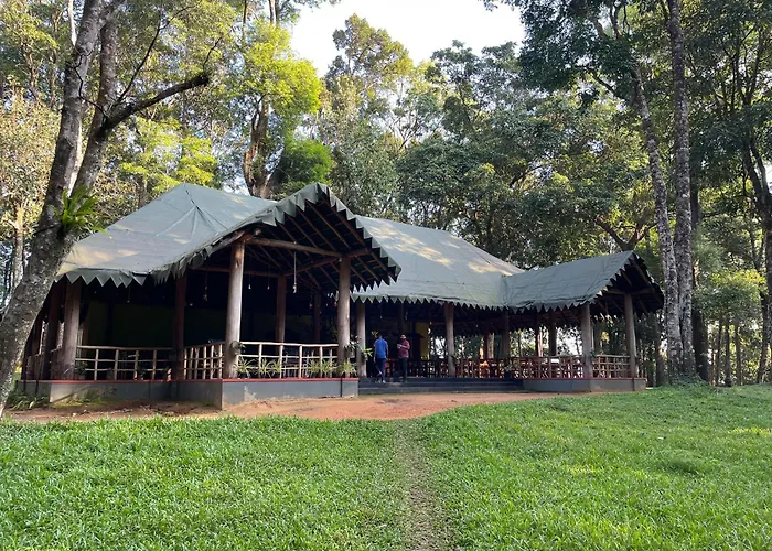 900 Woods Wayanad Eco Resort - A Sprawling Jungle Stay Near Glass Bridge