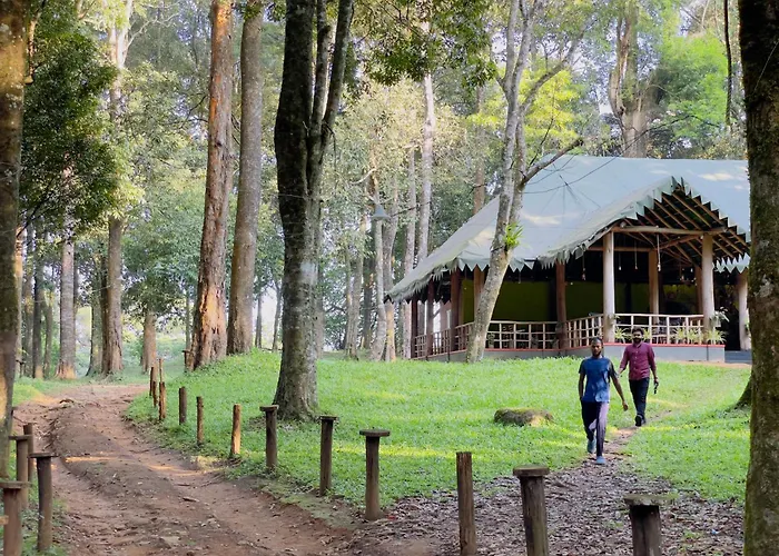 900 Woods Wayanad Eco Resort - A Sprawling Jungle Stay Near Glass Bridge