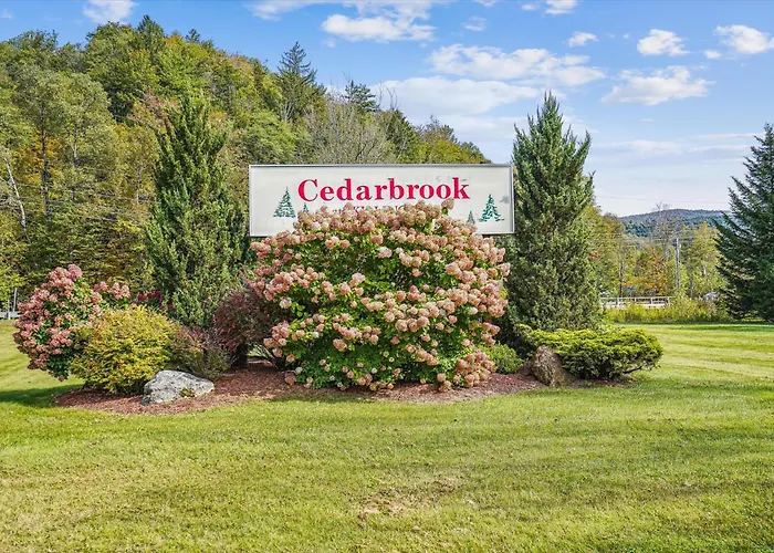 116 Cedarbrook Hotel Room