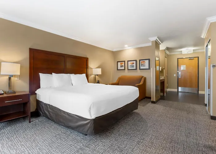 Comfort Inn & Suites Redwood Country