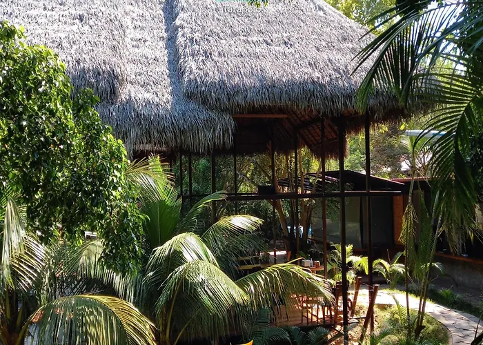 Coconut Tarapoto - Eco Resort