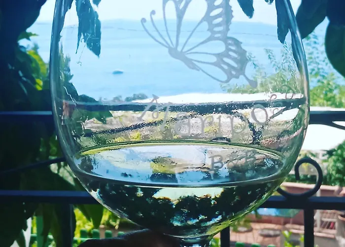 B&B Mariposa