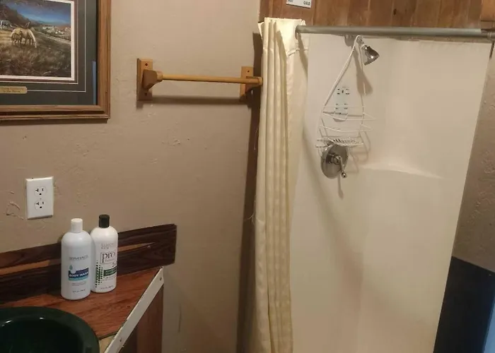 Big Bear Lake - Tulip Lane Cabin #25