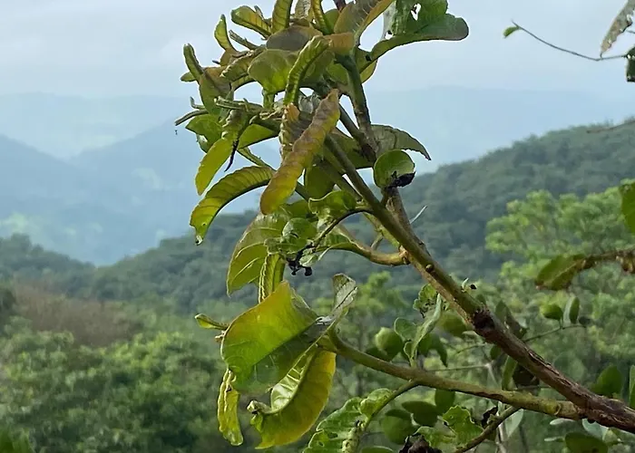 Eshi Resorts And Restaurant - Bhimashankars Jungle Luxury Resort