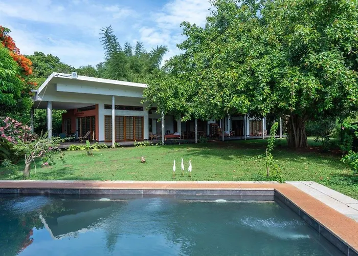 Mango Hill Auroville Pondicherry