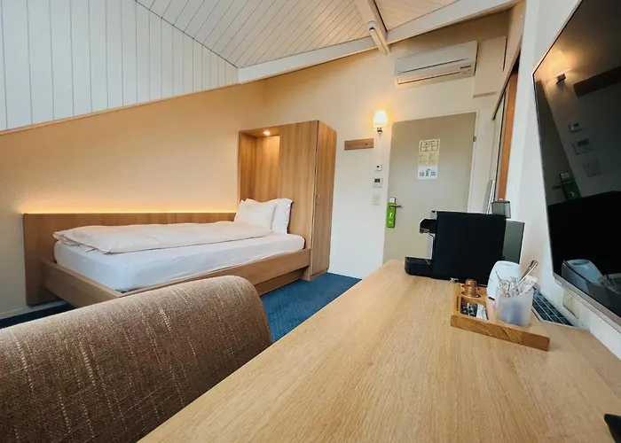 Hotel Felmis
