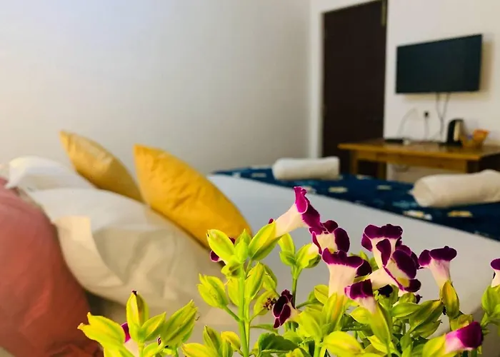 The Bodhi Tree Resort