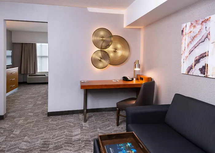Springhill Suites By Marriott Pittsburgh North Shore
