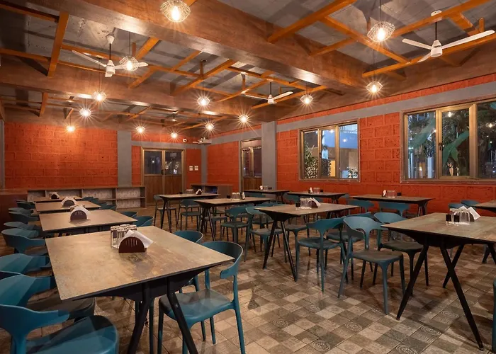 Vits Select Casuarina Diveagar