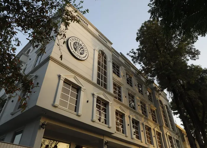 Three Tree Signature Hotel - G7 Markaz Islamabad
