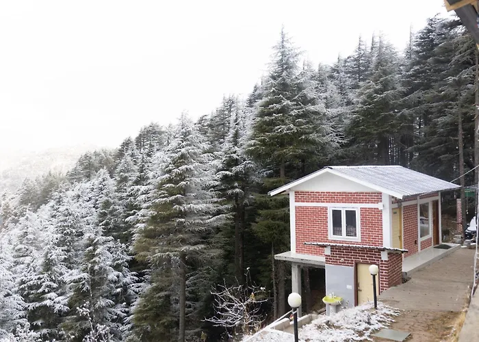 The Deodar Stays