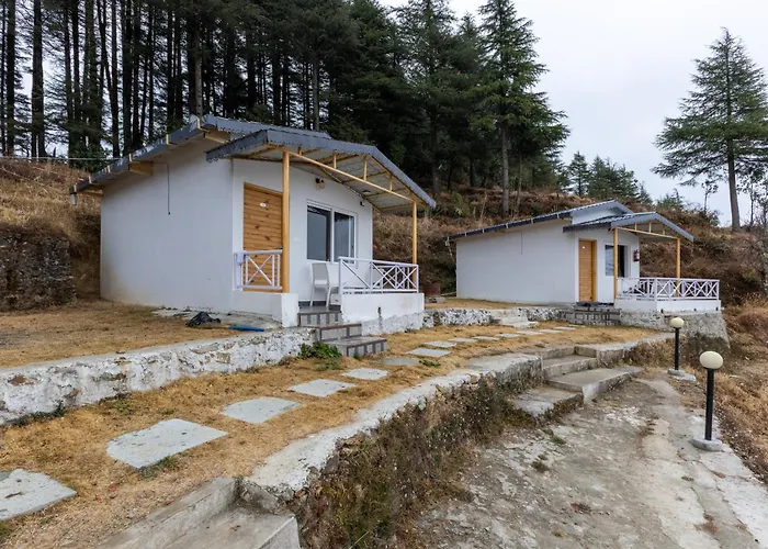 The Deodar Stays