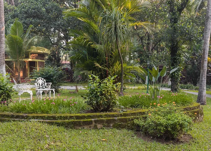 Kairali - The Ayurvedic Healing Village