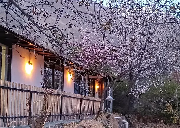 Grapes Garden Resort Hunza
