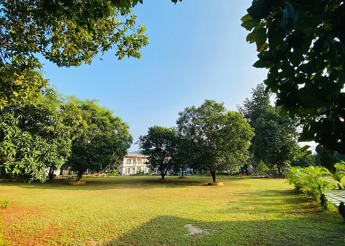 The Green Jungle Resort
