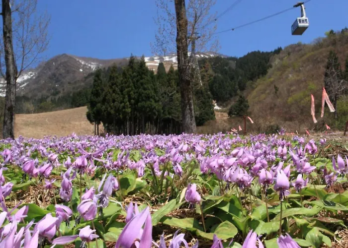 Pension Come Tatami-Room With A Calm Atmosphere - Vacation Stay 14983