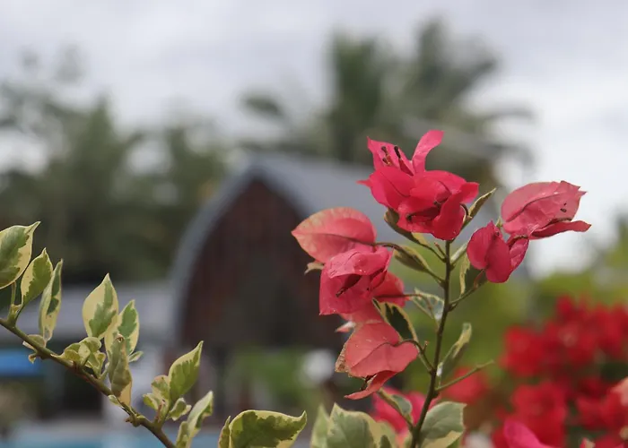 Magayon Integrated Farm And Resort