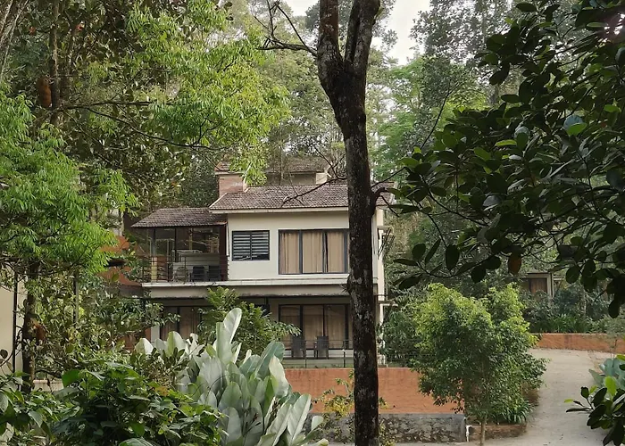 Safari Hills Vythiri