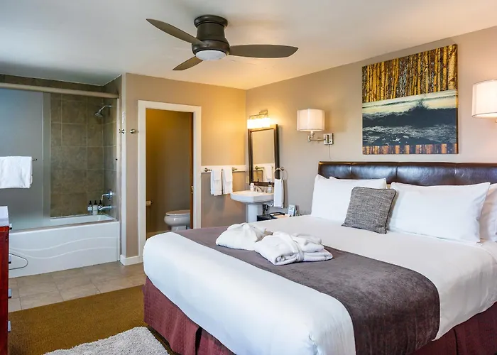 Bird Rock Hotel