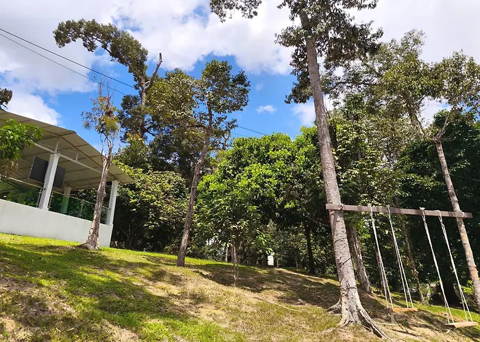 Alsafina Forest Stay