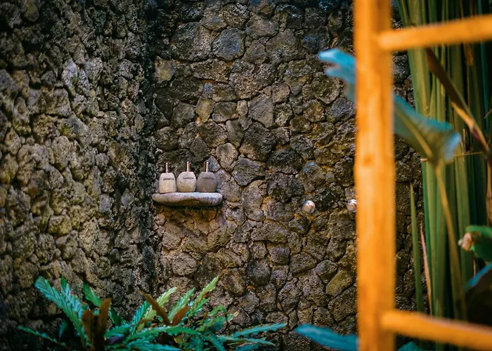 Butterfly Beach Resort