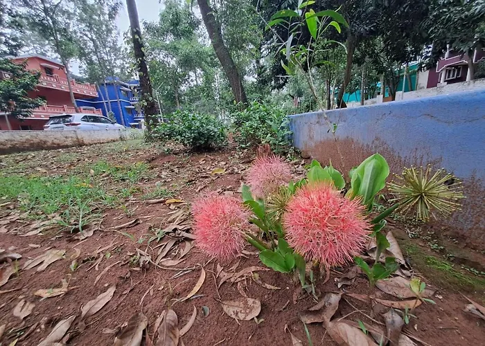 Ushodaya Resorts