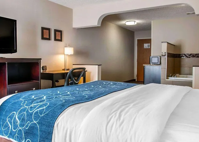 Comfort Suites Benton Harbor - St Joseph