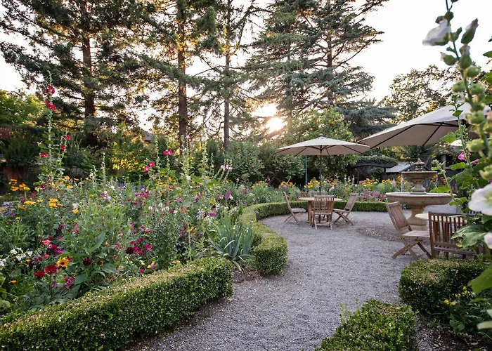 Appellation Lodi - Wine & Roses Resort And Spa