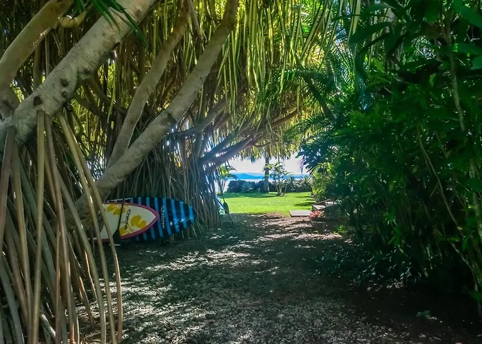 Aroha Taveuni Beachfront Bures