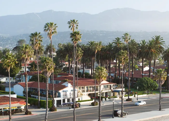 The Milo