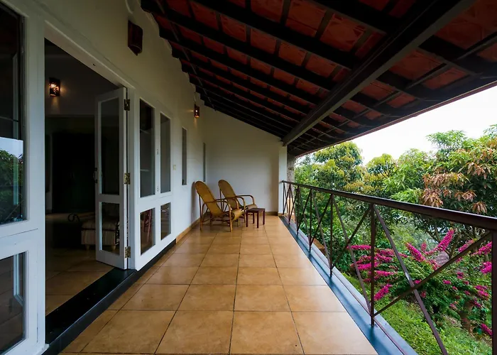 After The Rains - Rainforest Lodge, Wayanad
