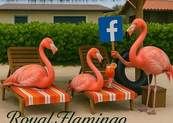 Royal Flamingo Villas