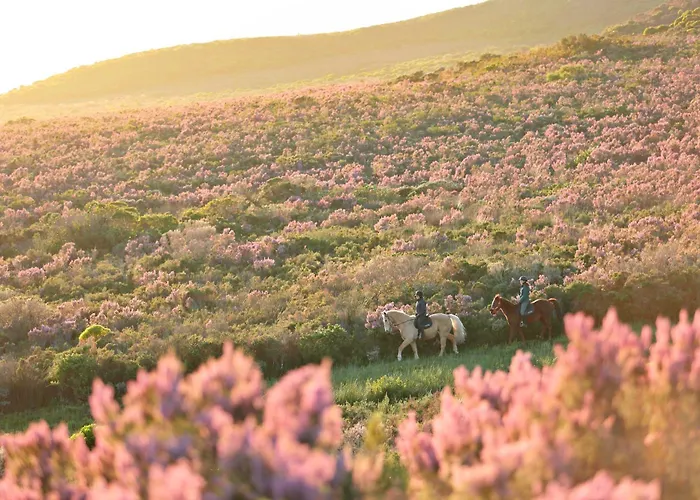 Grootbos Private Nature Reserve