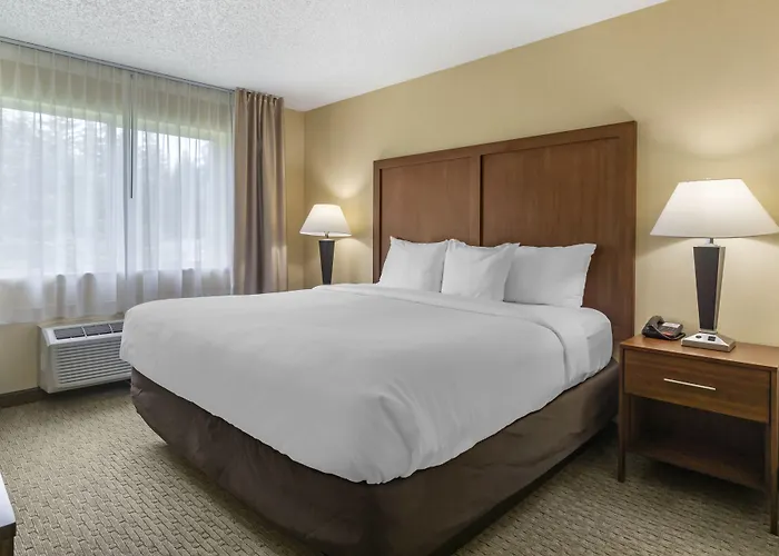 Comfort Inn & Suites Bothell - Seattle North