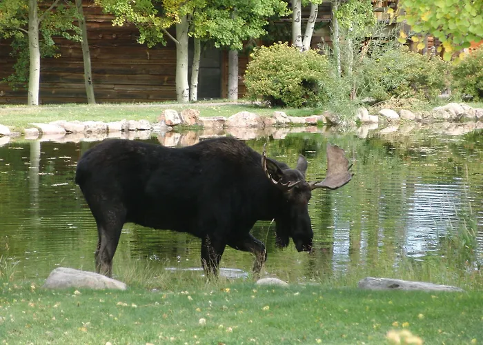 Spring Creek Ranch