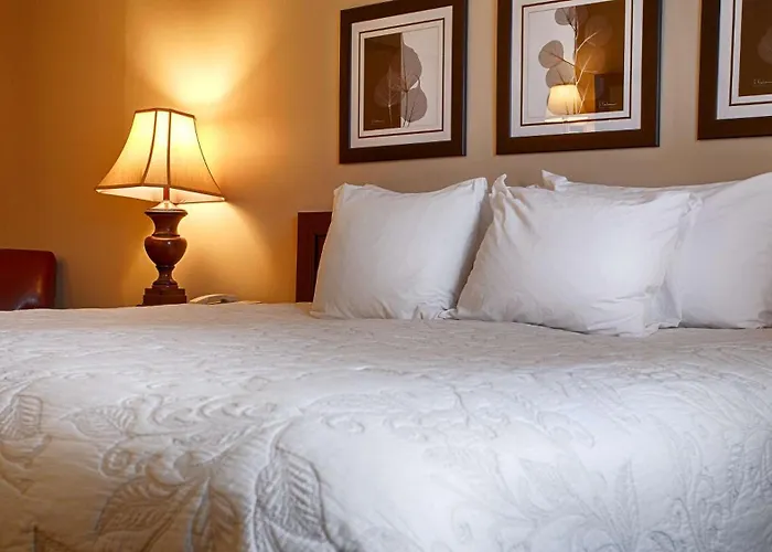 Silver Fox Inn