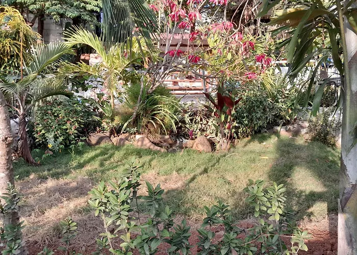 Villa Patriz Retreat
