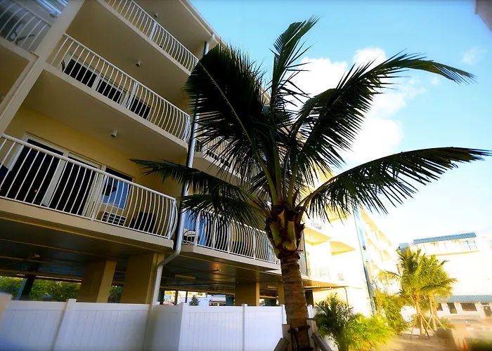 Shoreline Island Resort - Exclusively Adult