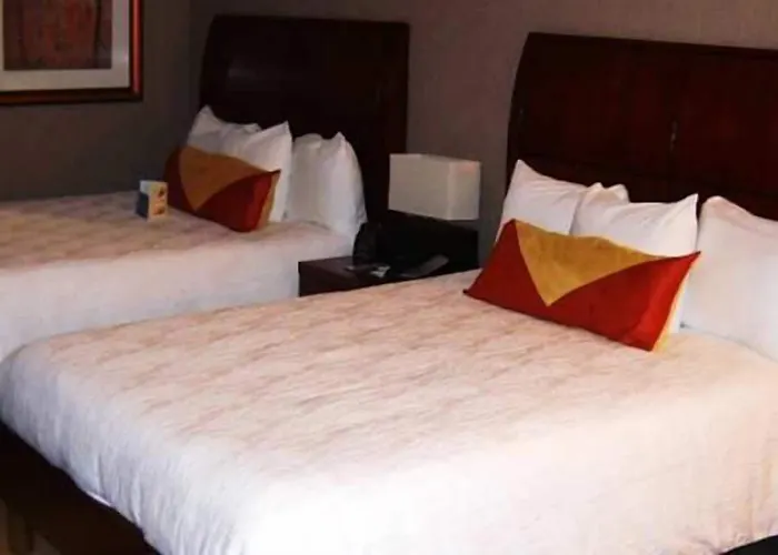 Hilton Garden Inn Indianapolis South/Greenwood