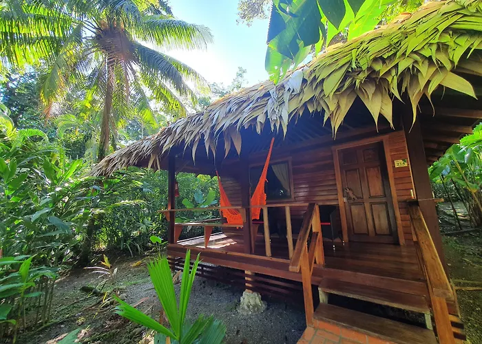 Cariblue Beach And Jungle Resort