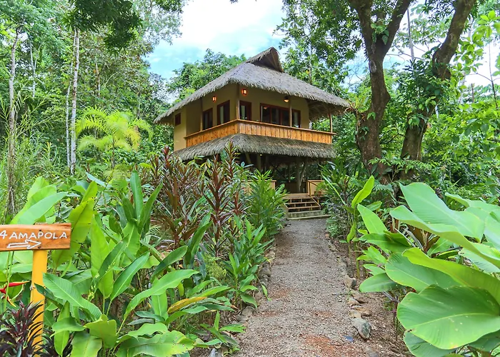 Copa De Arbol Beach & Rainforest Resort