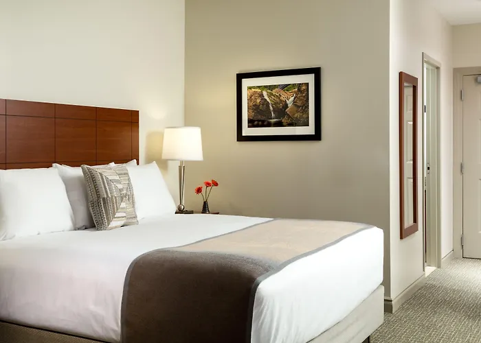 Hotel Anthracite